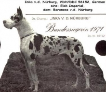 INKA v.d.Nürburg - Ch.DDC