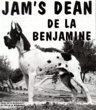 JAM'S DEAN de la Benjamine